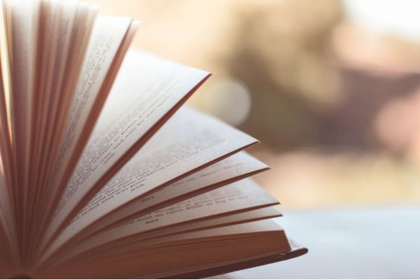 Promote Profit Publish | Domingo Silvas | Interactive Book AI